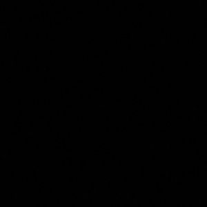 Meet your Posher, Diego